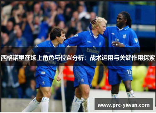 西格诺里在场上角色与位置分析：战术运用与关键作用探索