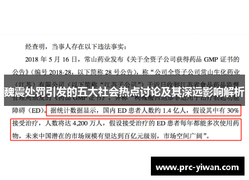 魏震处罚引发的五大社会热点讨论及其深远影响解析